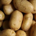 L'angolo degli scienziati in cucina