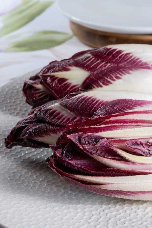 radicchio rosso